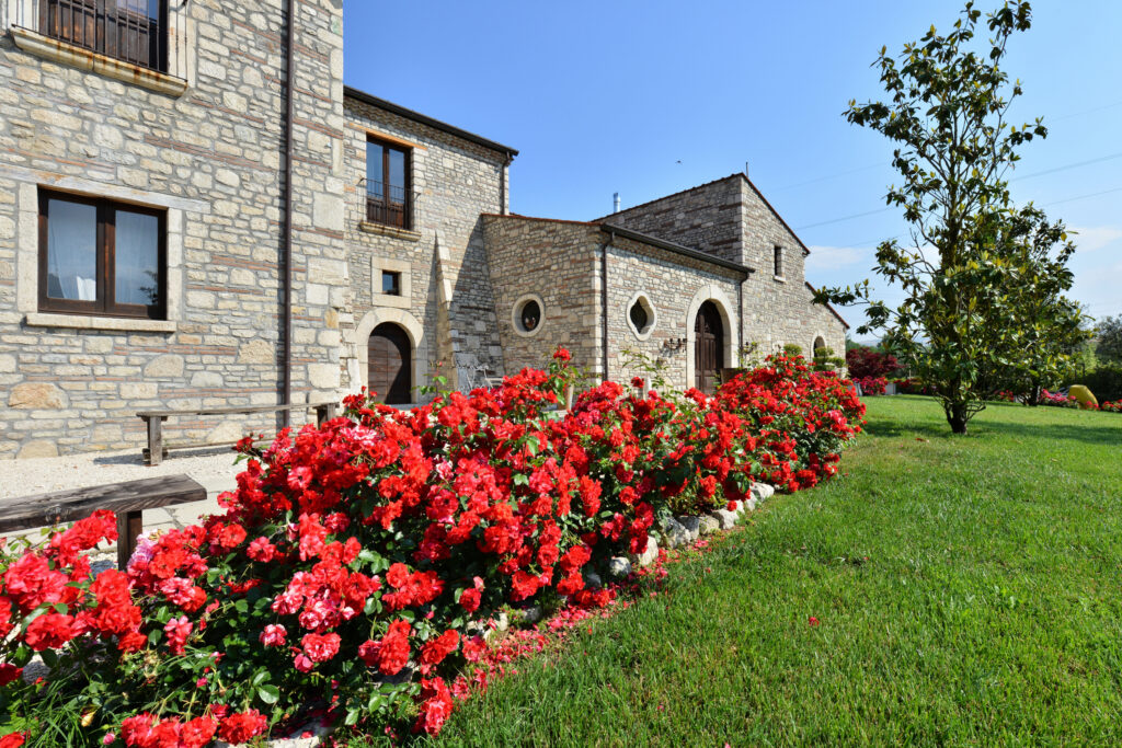 ancient logic stone brick house set behind a large bush of red roses